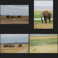 Amboseli National Park