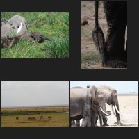 Amboseli National Park