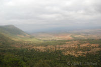 Rift Valley