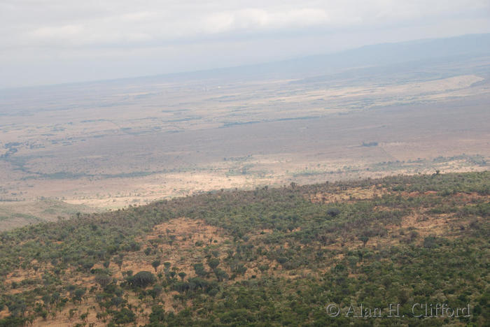 Rift Valley