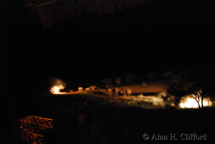 Waterhole at night