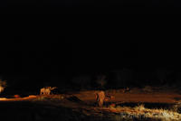 Waterhole at night