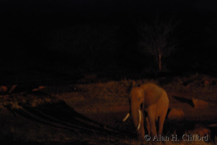 Waterhole at night