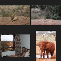 Tsavo East National Park