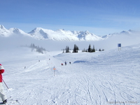 On Whistler Mountain