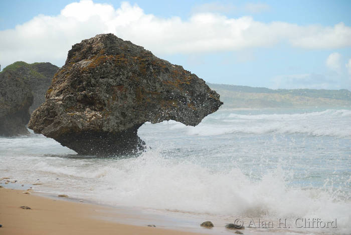 Sea stack at Bathsheba