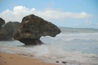 Sea stack at Bathsheba