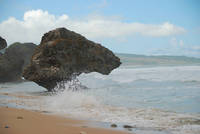 Sea stack at Bathsheba