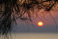 Sunset in Zanzibar