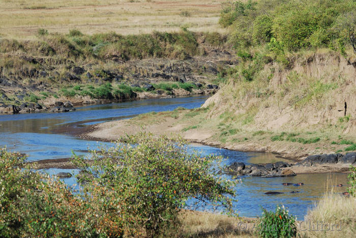 Mara River