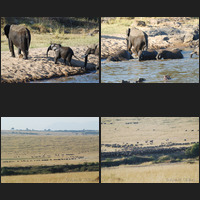 Masai Mara, 18th