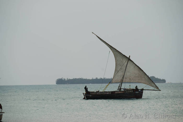 Dhow at Zanzibar