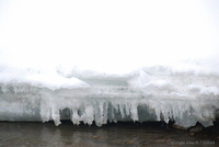 Icicles on the river