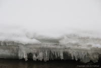 Icicles on the river