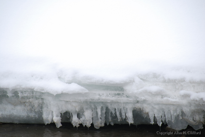 Icicles on the river