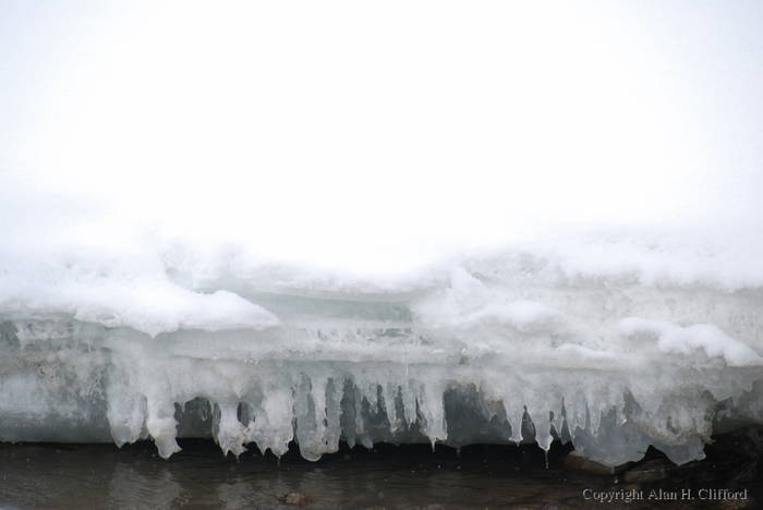 Icicles on the river