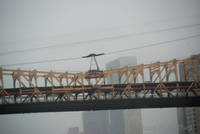 Queensboro Bridge and Roosevelt Island Tramway