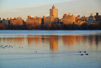 Jacqueline Kennedy Onassis Reservoir