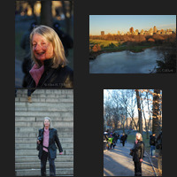 A walk in Central Park, Manhattan