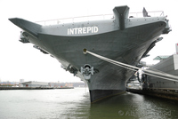 Intrepid