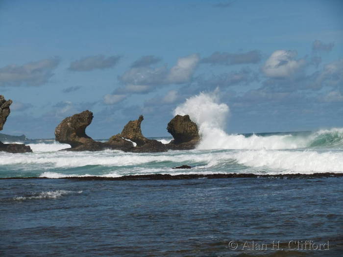 Stacks at Bathsheba