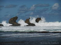 Stacks at Bathsheba