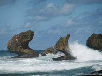 Stacks at Bathsheba