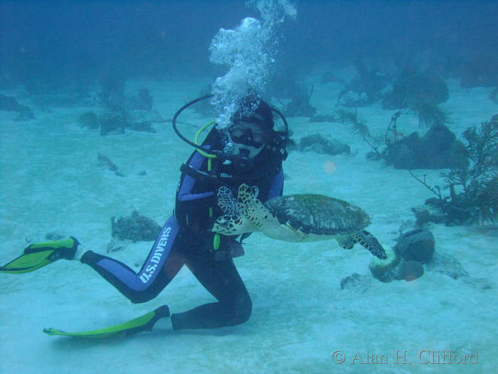 Audrey with a turtle