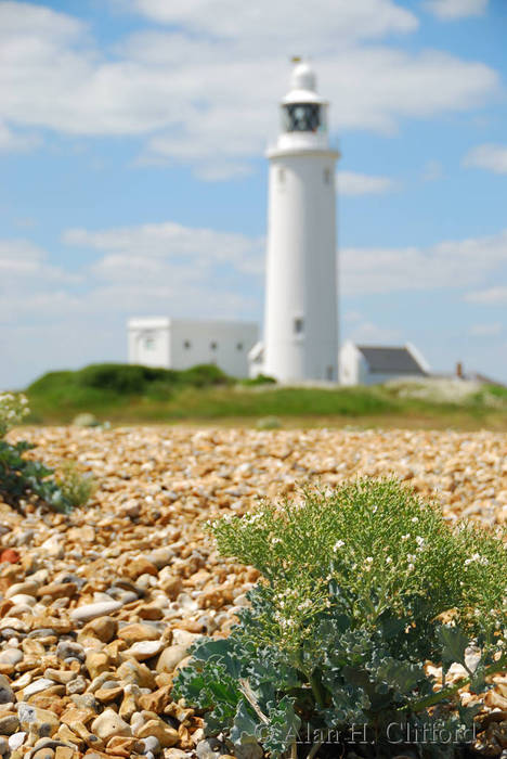 Hurst Point lighthouse