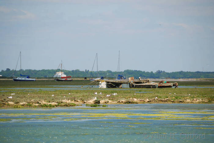 Ferry from Hurst Castle to Keyhaven