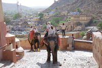 Ascent to Amber Fort on the elephants