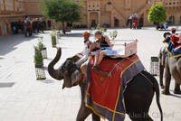 Margaret on an elephant at Amber Fort, Jaipur