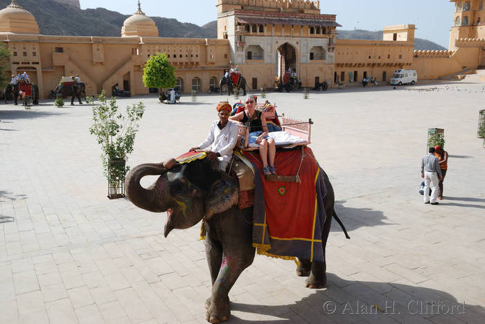 Margaret on an elephant at Amber Fort, Jaipur