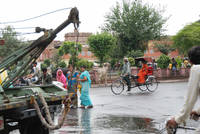 Cows and rickshaw at Chhoti Chaupar