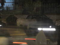 Cow on Mirza Ismail Road, seen through a restaurant window