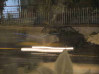 Cow on Mirza Ismail Road, seen through a restaurant window