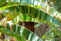 In the garden at the Ranthambhore Regency hotel