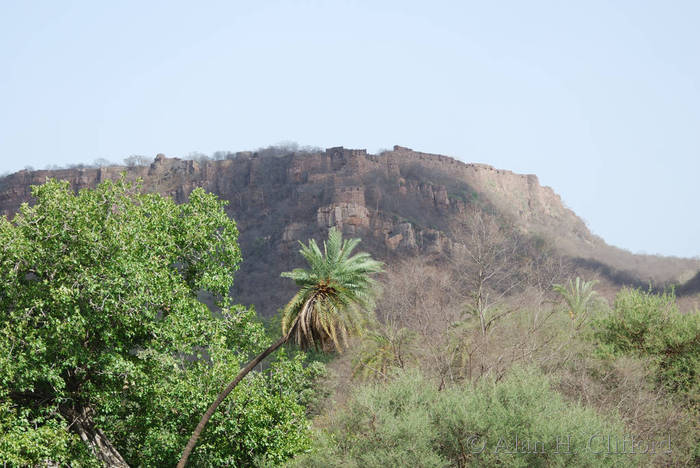 Ranthambhore Fort