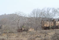 Ranthambhore National Park