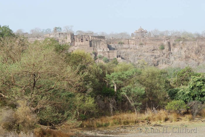 Ranthambhore Fort