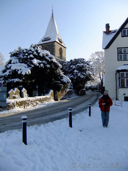 Merrow in the snow