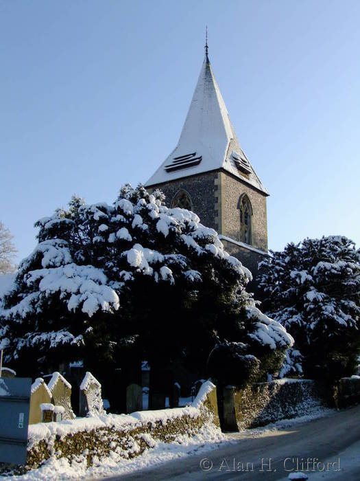 Merrow in the snow