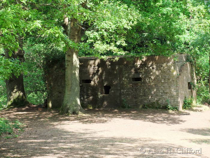 Pillbox on St. Martha’s Hill