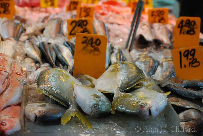 Fish in Chinatown