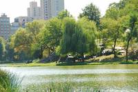 Harlem Meer