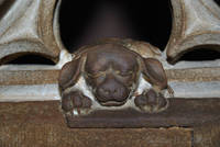 Stonework detail, Strasbourg Cathedral