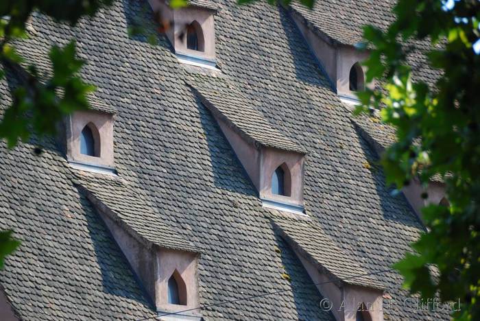 A roof in Strasbourg