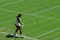 Serena Williams