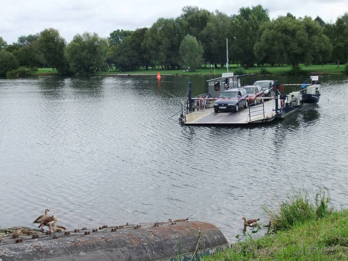 Ladenberg-Neckarhausen ferry