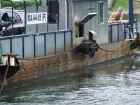 Ladenberg-Neckarhausen ferry